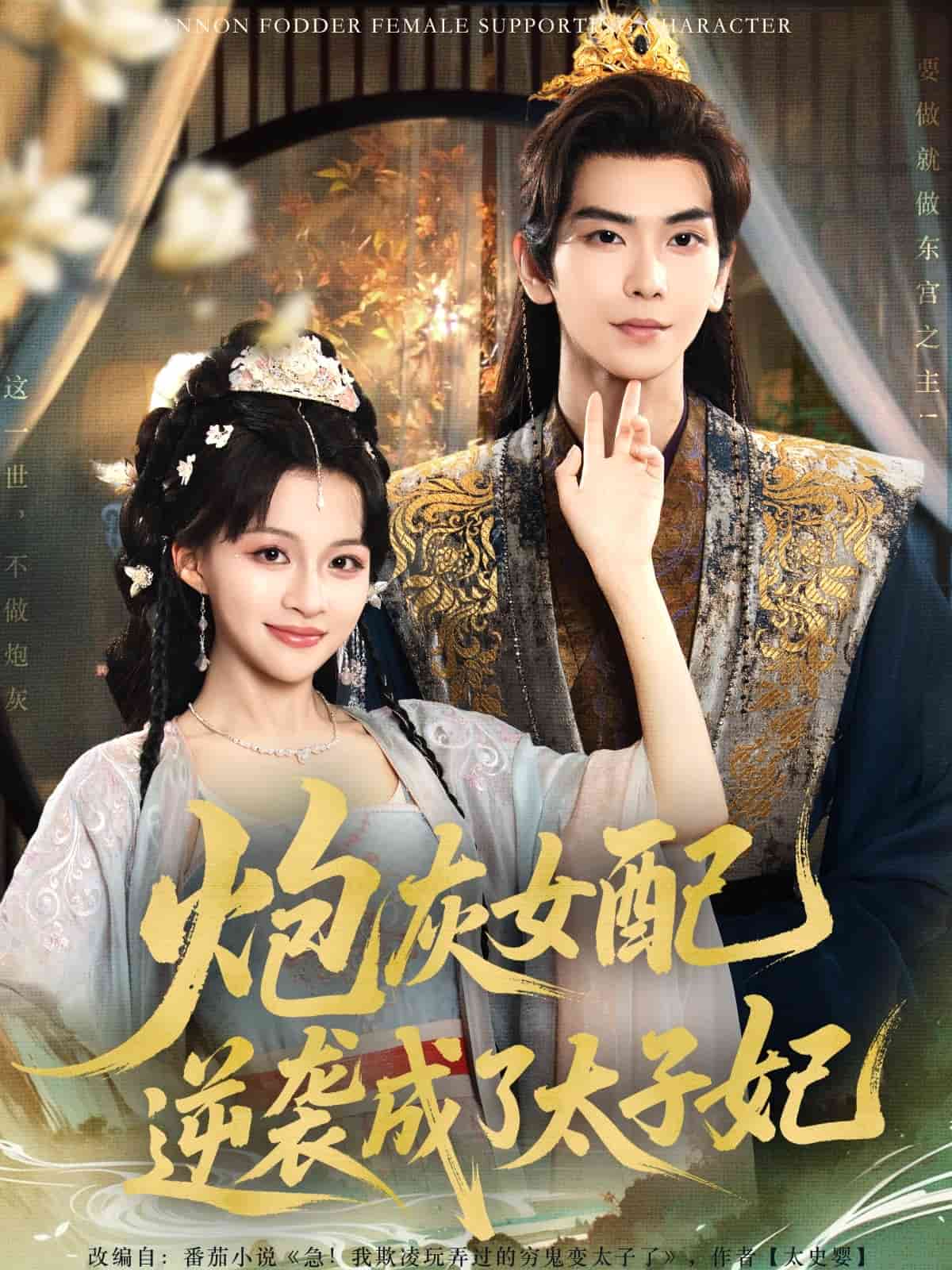 炮灰女配逆袭成了太子妃