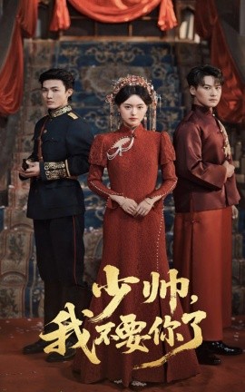 少帅，我不要你了