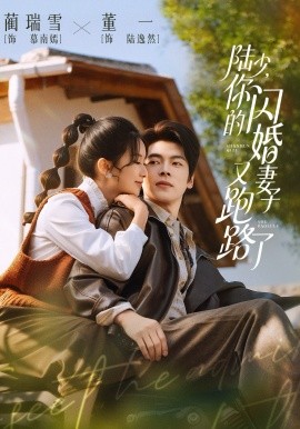 陆少，你的闪婚妻子又跑路了